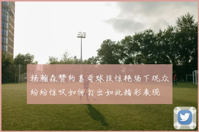杨瀚森赞约基奇球技惊艳场下观众纷纷惊叹如何打出如此精彩表现